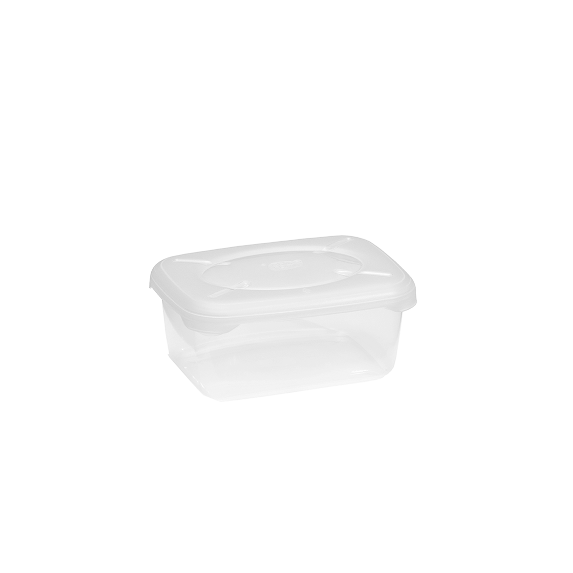 FRIGOCONTENITORE FRIGOBELLA RETTANGOLARE
